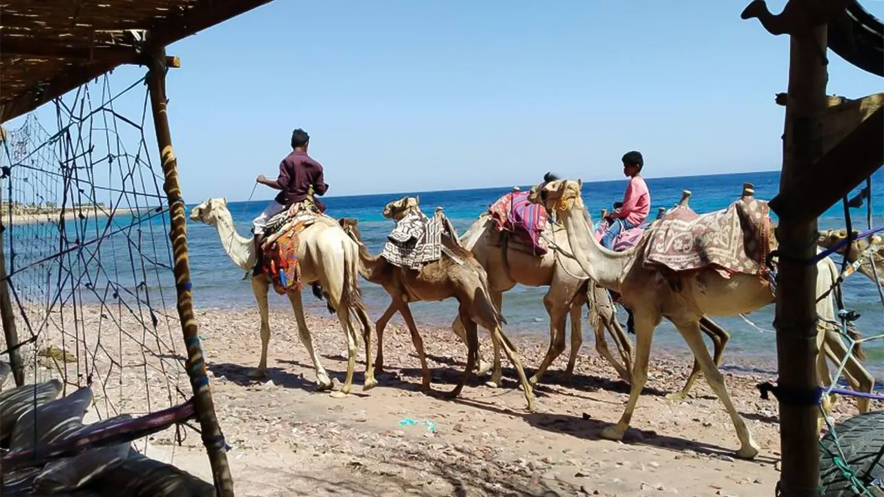 Colored Canyon, Blue Hole & Dahab Day Trip