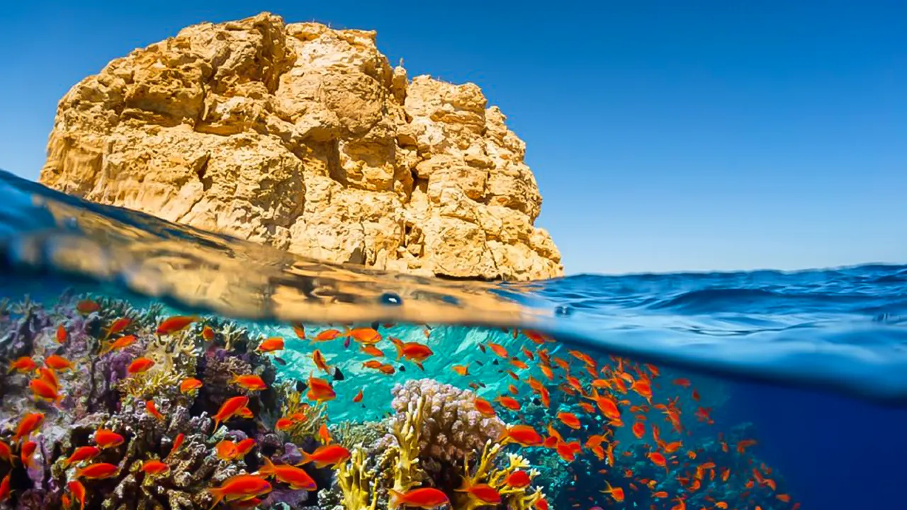 Colored Canyon, Blue Hole & Dahab Day Trip