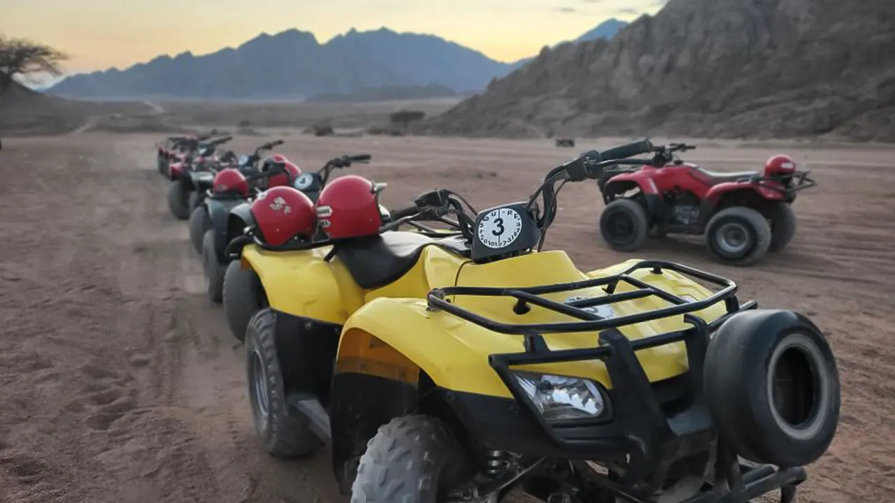 ATV, Bedouin Tent with BBQ Dinner and Show