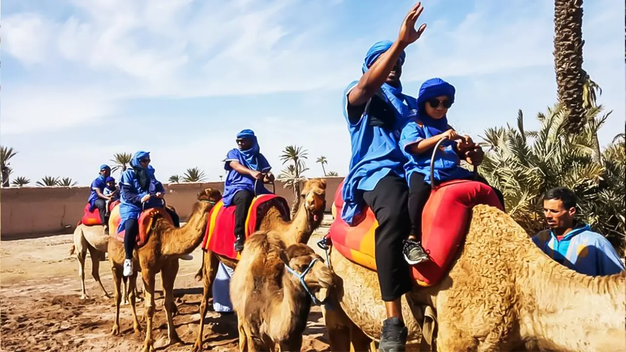 Camel Ride in the Oasis Palmeraie