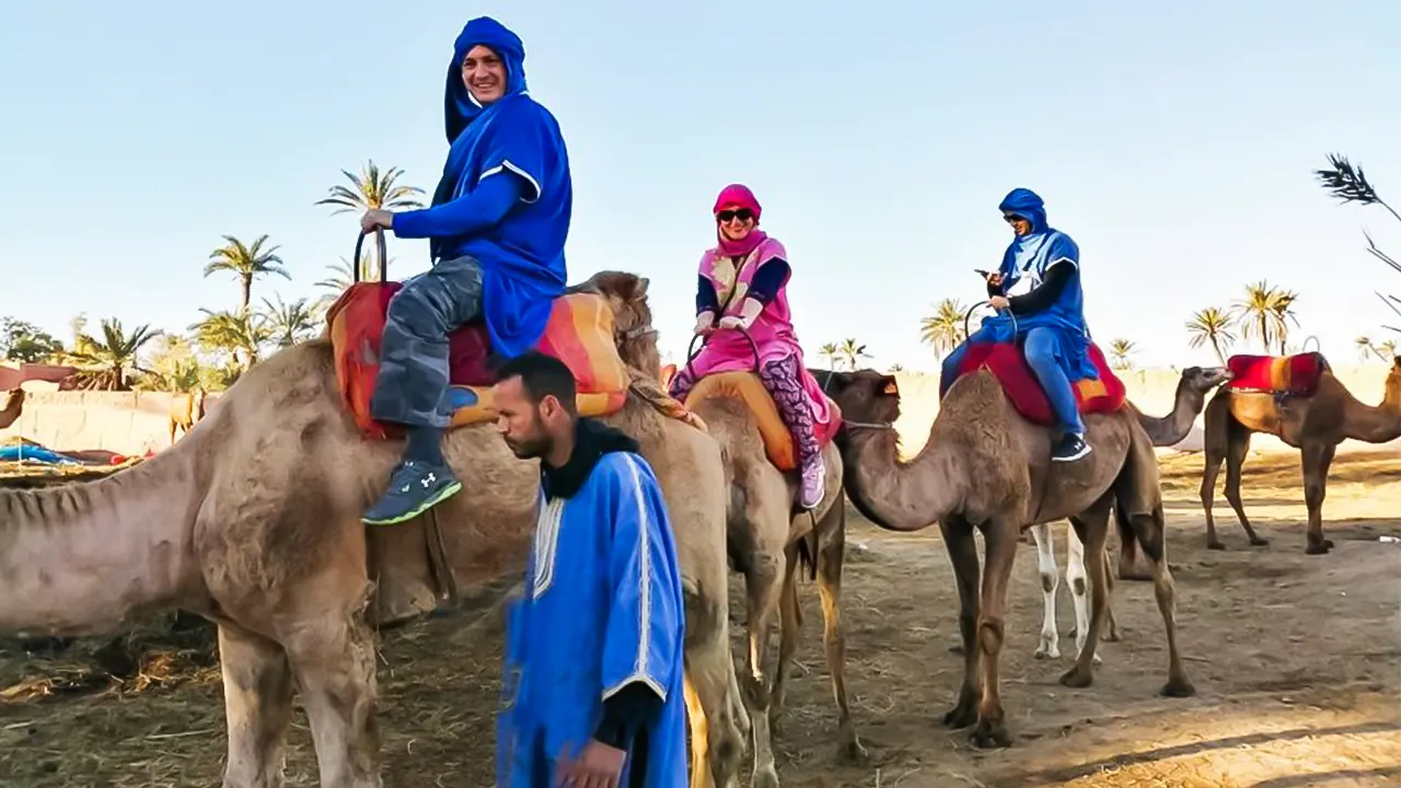 Camel Ride in the Oasis Palmeraie