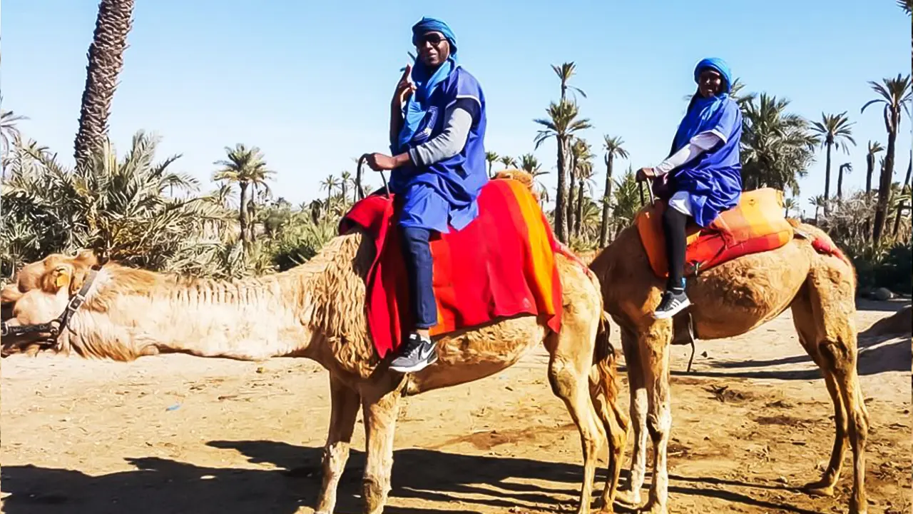 Camel Ride in the Oasis Palmeraie