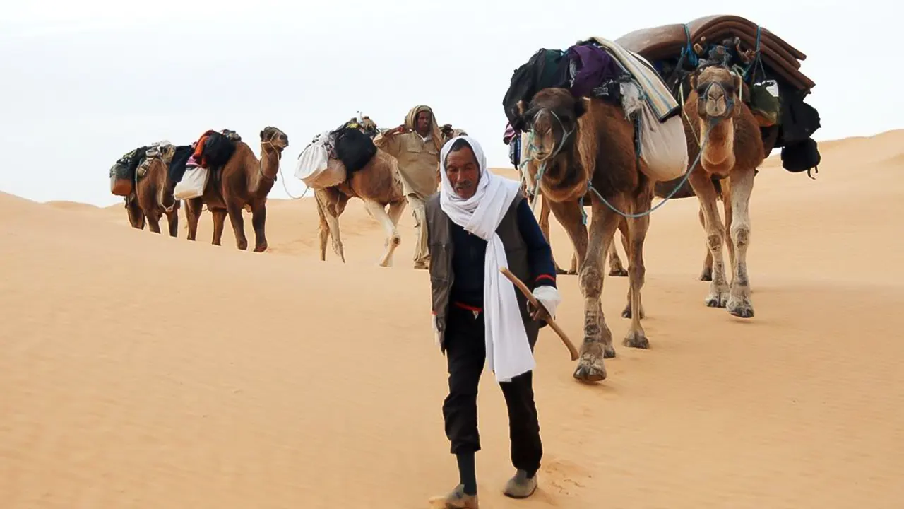 Tour Jeep 4x4, Camel Ride, El Jem