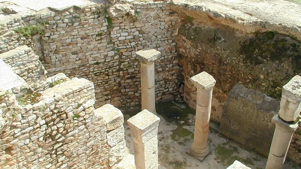 Archaeological Tour + Lunch