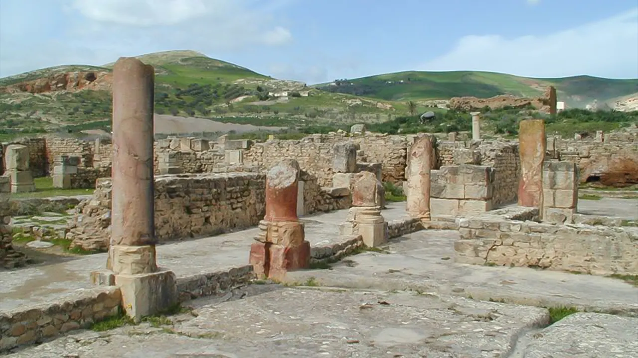 رحلة إلى البيجا, تستور ودوغا مع الغداء