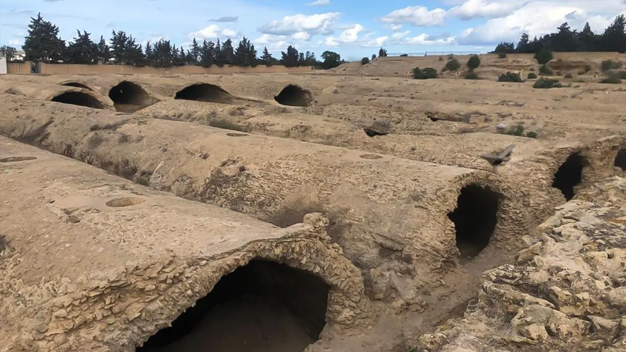 The Bardo Museum, Oudhna and the roman aqueduct