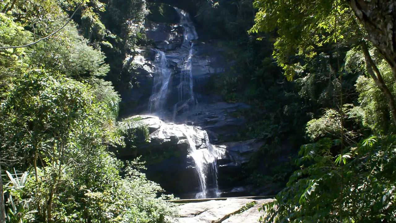 Tijuca Rain Forest Tour by Jeep