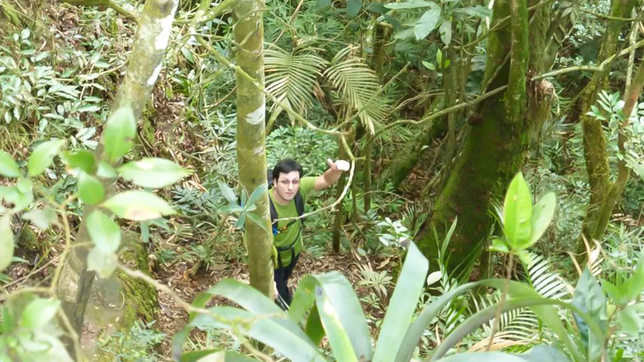 Tijuca National Park caves and waterfall walking tour