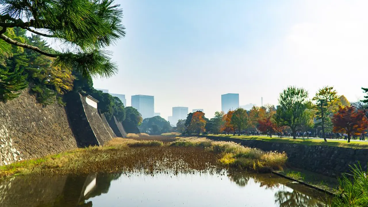 Chiyoda Imperial Palace Walking Tour