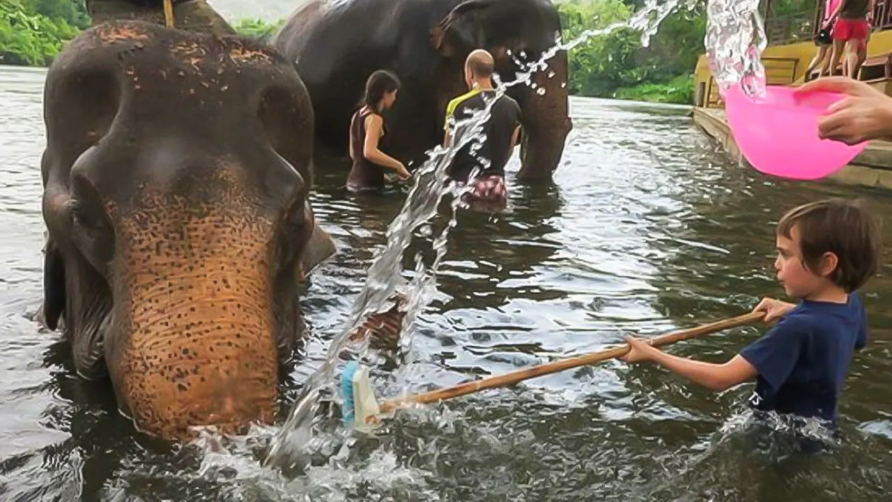 Elephant Sanctuary & Kanchanaburi Tour