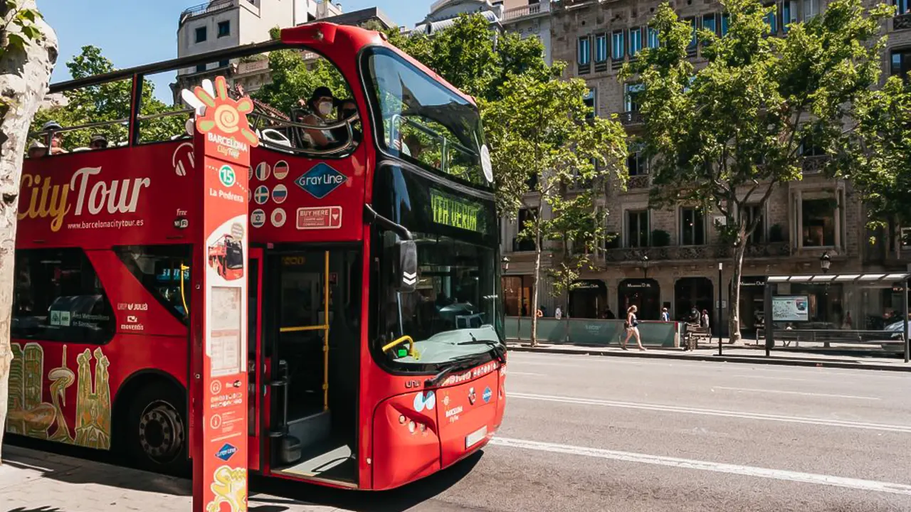 Hop-On Hop-Off Bus Tour