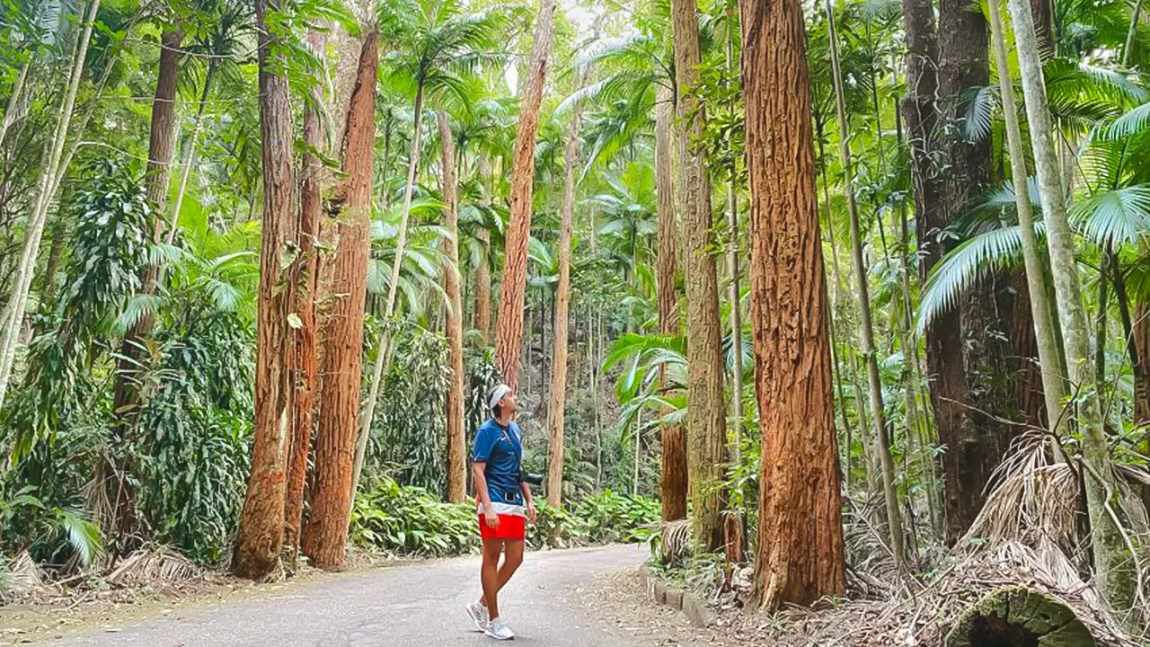 Tijuca National Park caves and waterfall walking tour