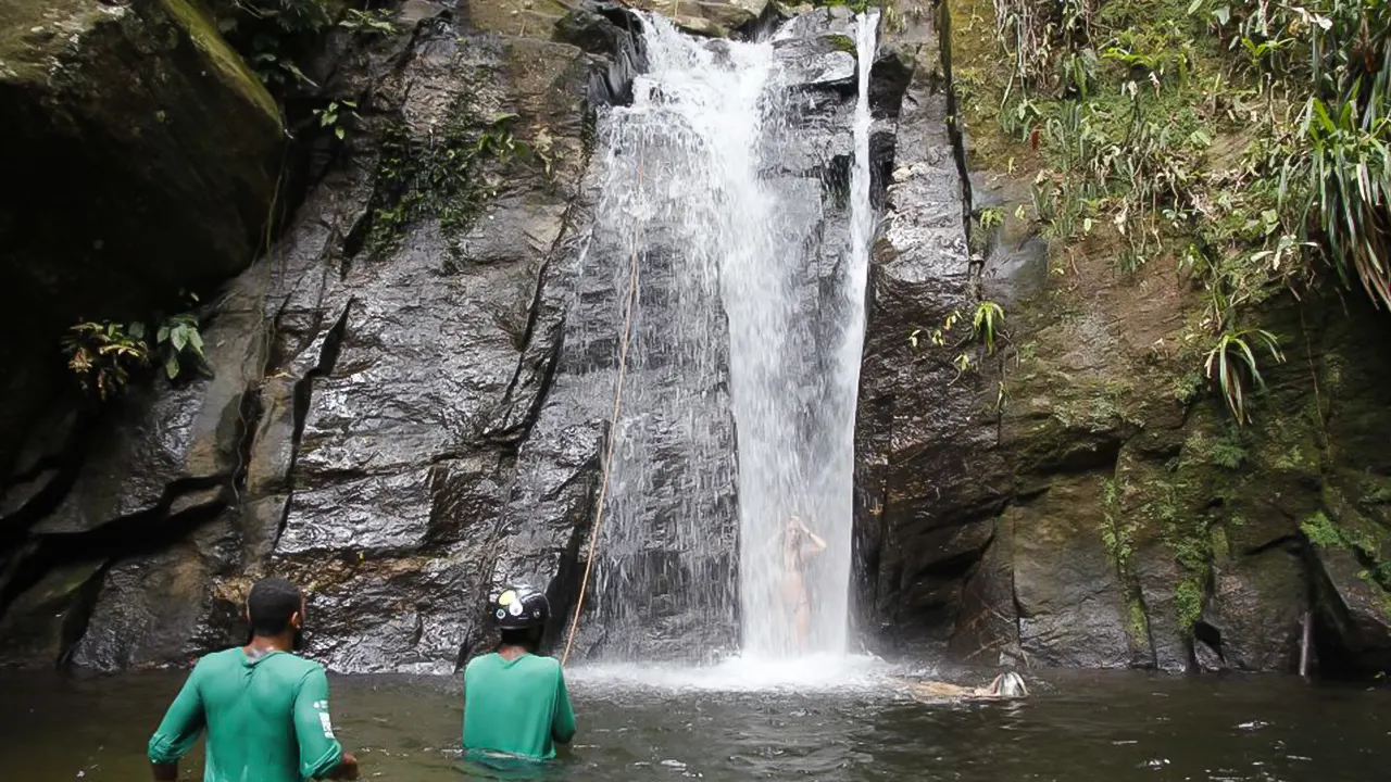 Tijuca Forest & Horto Waterfalls Circuit Tour