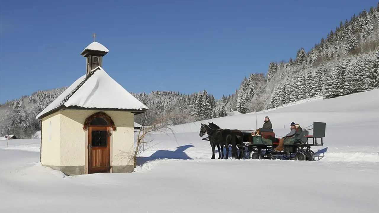 Tour with Horse-Drawn Sleigh Ride