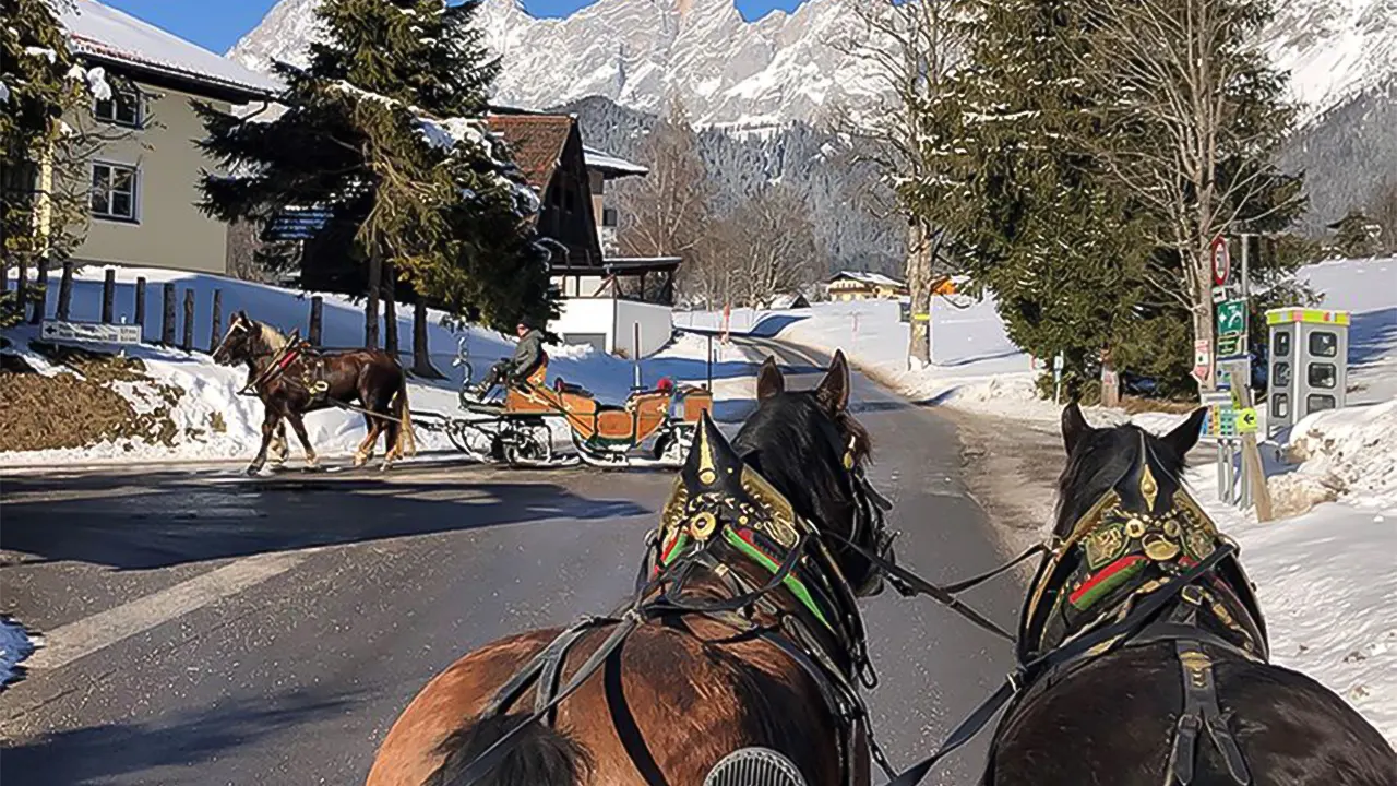 Tour with Horse-Drawn Sleigh Ride