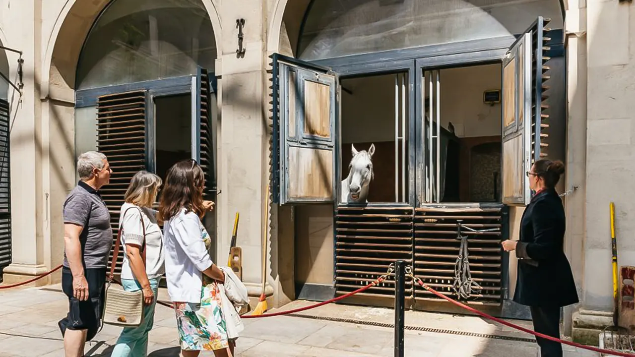 Vienna Spanish Riding School Guided Tour