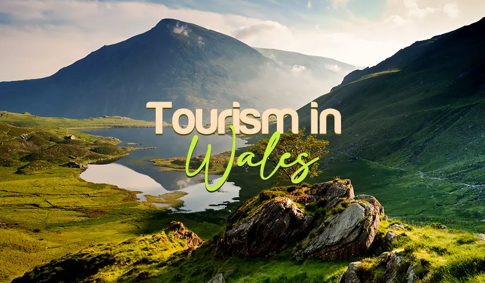 Memphis Tours | Discover the beauty of Wales, the British city!