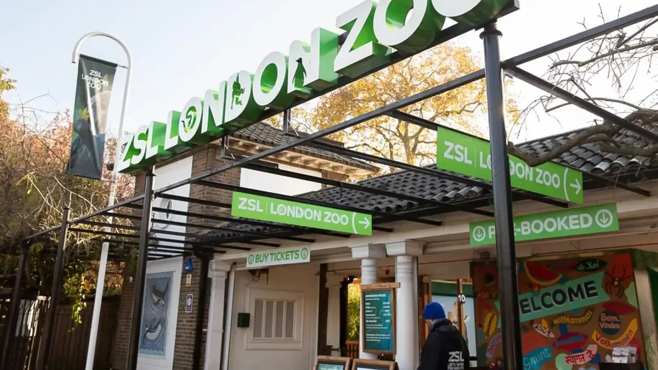 LONDON ZOO