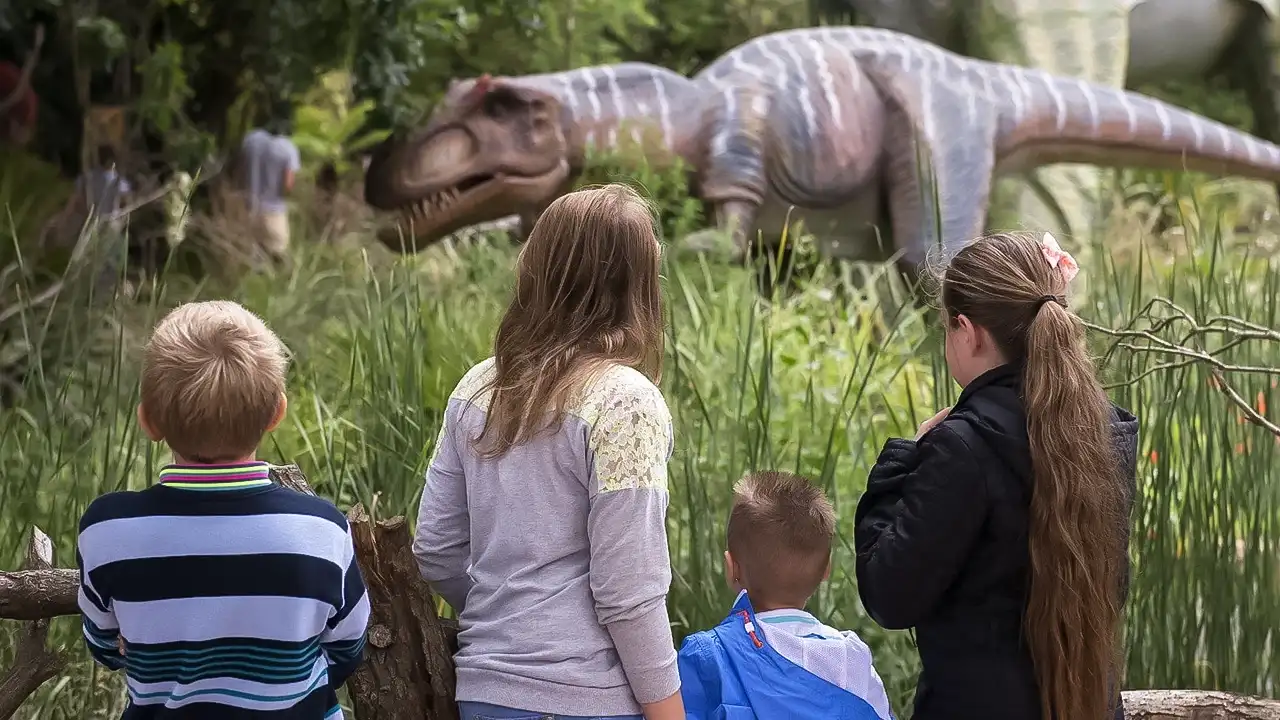 West Midland Safari Park.