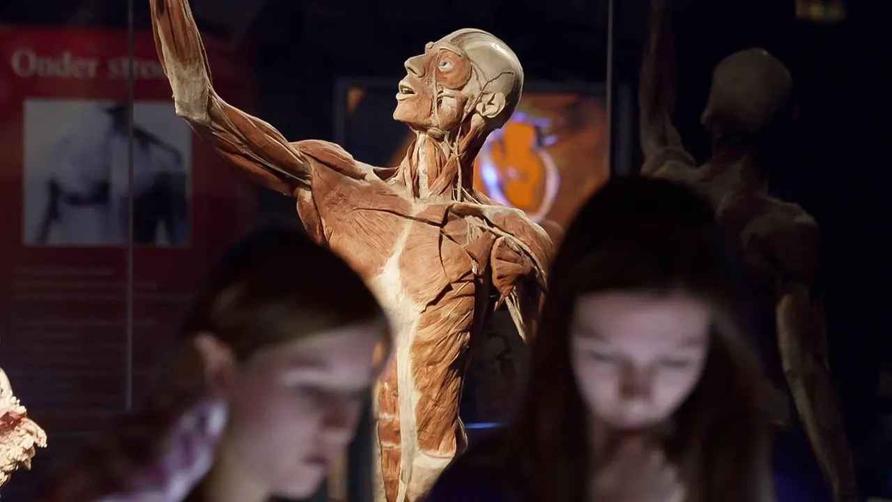 Body Worlds