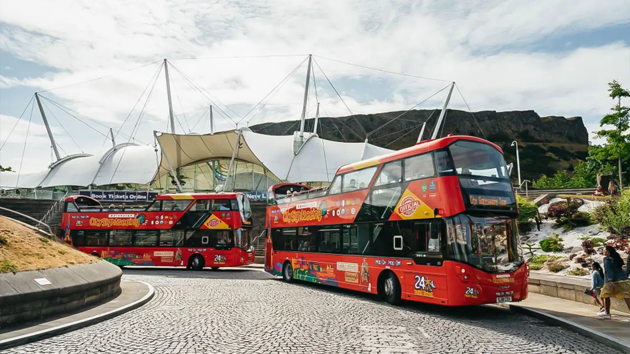 Sightseeing by bus