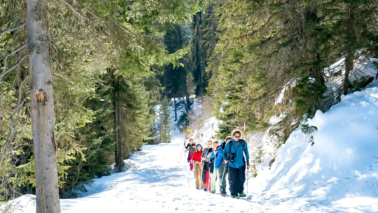 Snowshoe tour