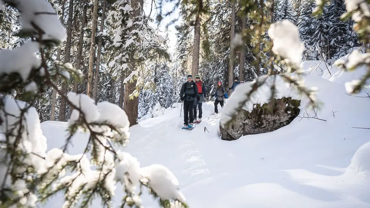 Wetterhorn trail snowshoeing tour