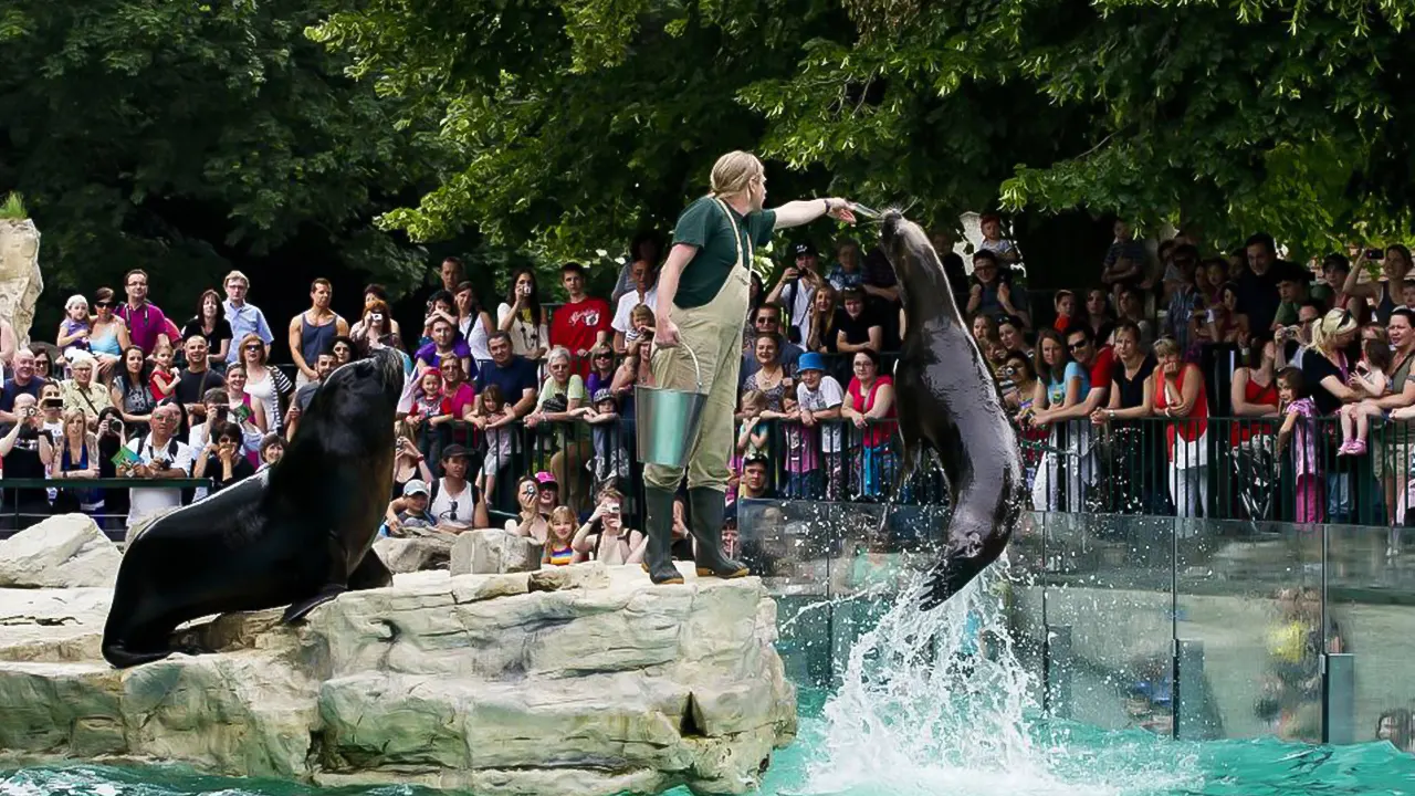 Skip-the-line Tickets for Schönbrunn Zoo