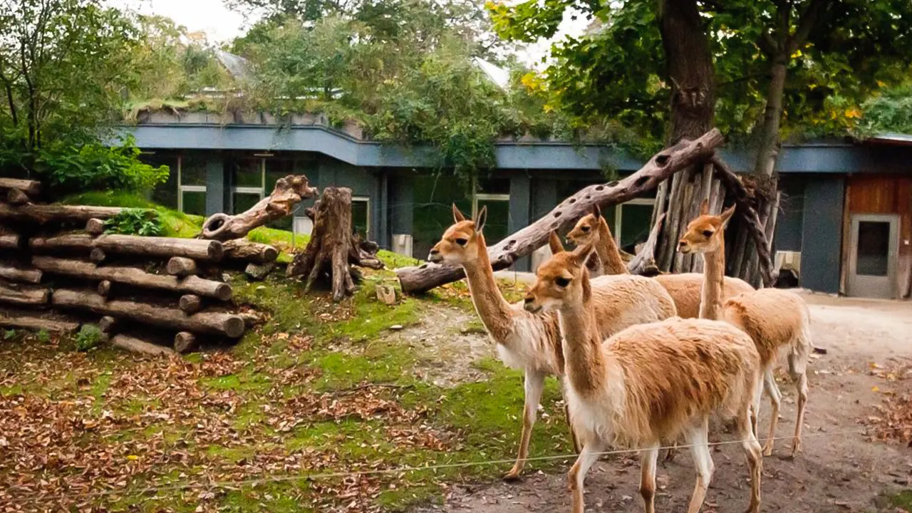 Skip-the-line Tickets for Schönbrunn Zoo