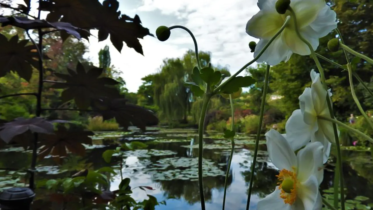 Monet’s House and Gardens