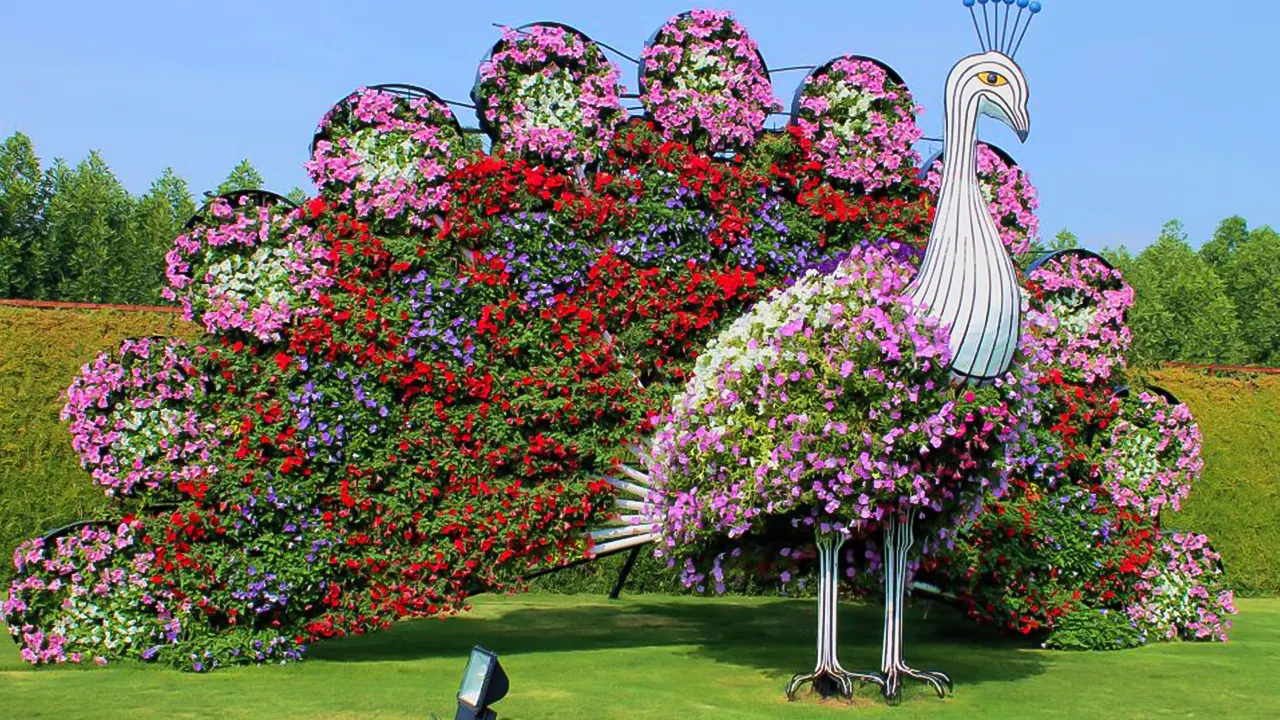 Skip-The-Line Ticket to Dubai Miracle Garden