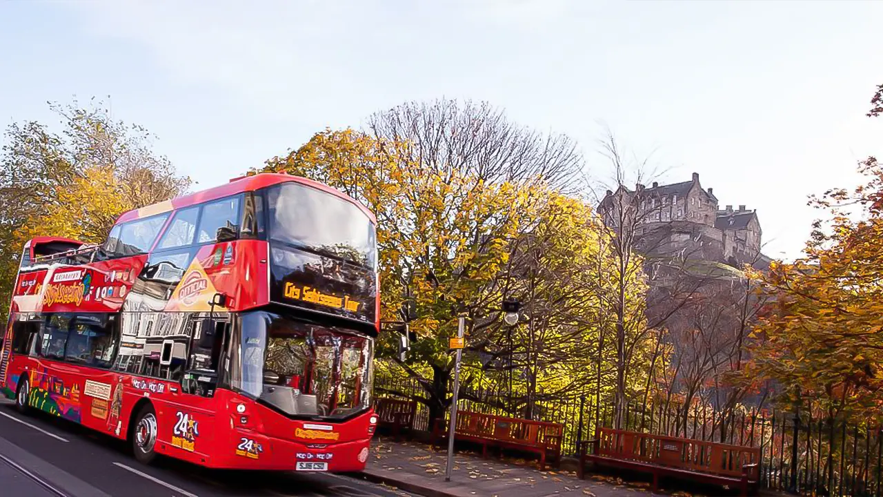 3 bus tours of the city