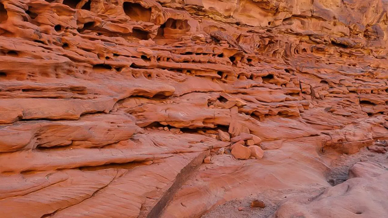 Canyon, Camel, and Snorkel Jeep Tour