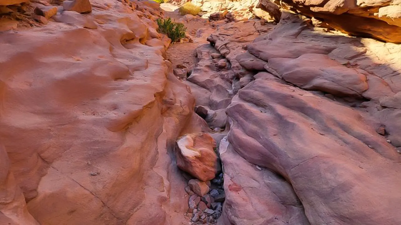 Canyon, Camel, and Snorkel Jeep Tour