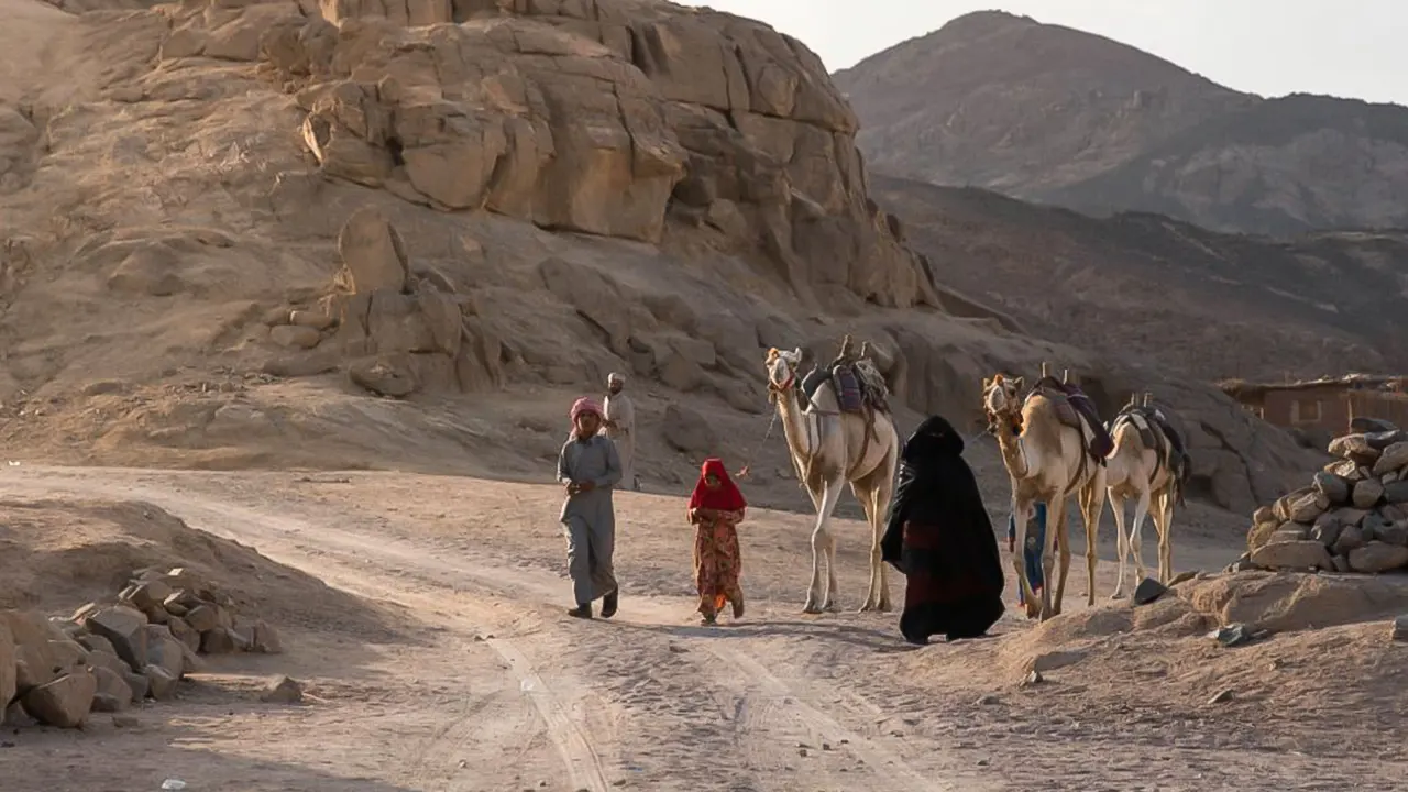 ركوب الجيب والجمل وعربات السفاري مع عشاء شواء