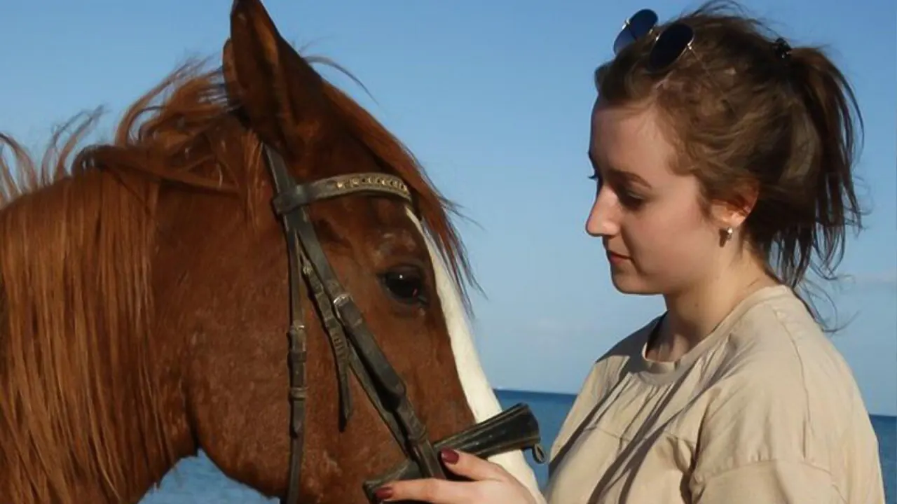 Desert and sea horse riding by Transport