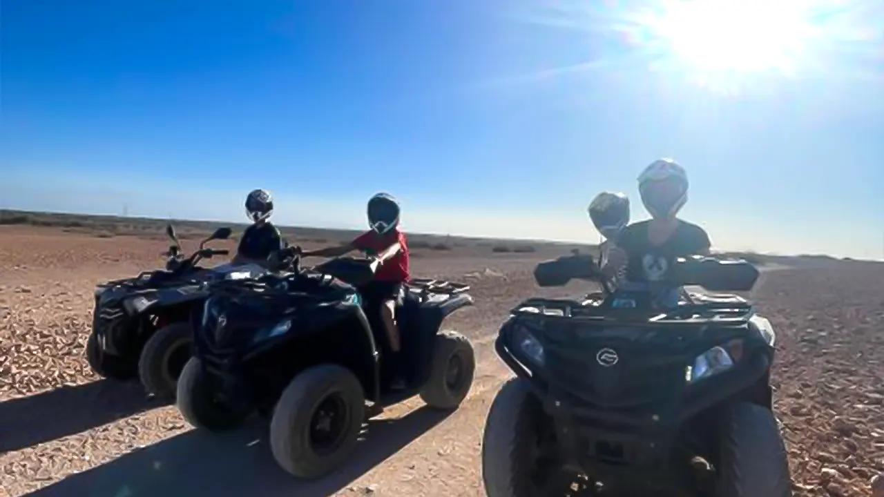 Quad Excursion to Palm Gove and Jbilets Desert