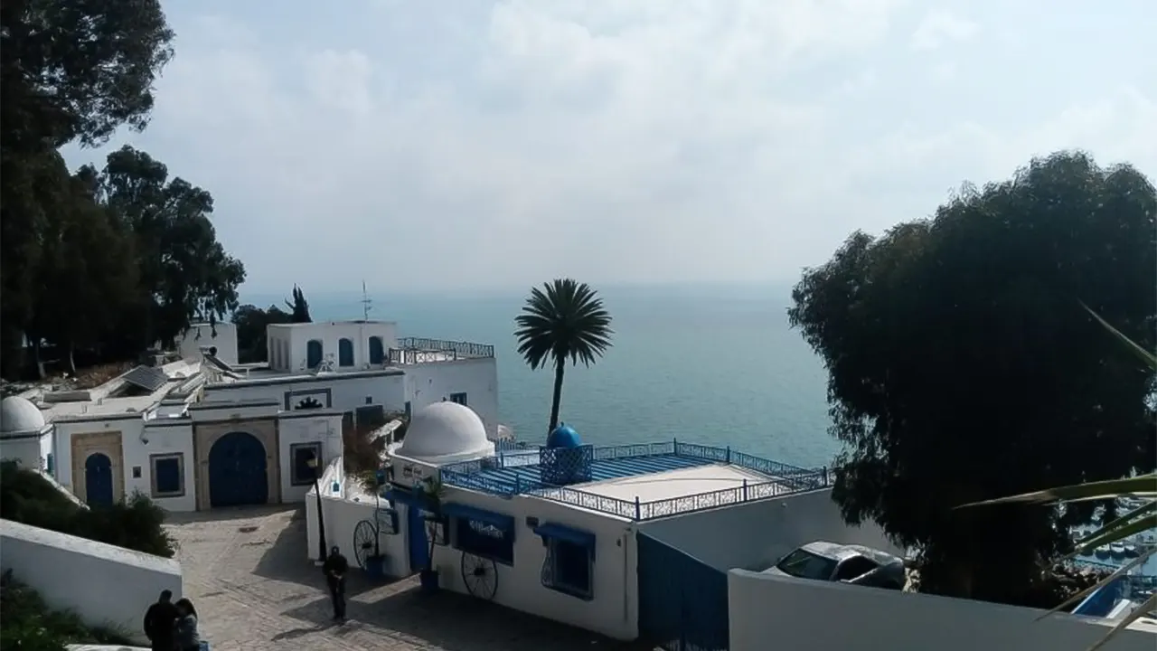 Tour to Carthage and Sidi Bou Said