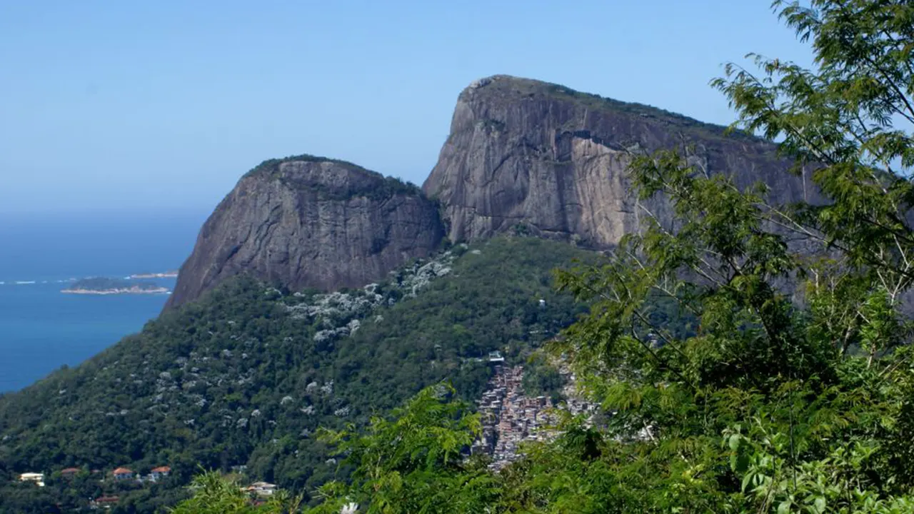 Tijuca Rain Forest Tour by Jeep