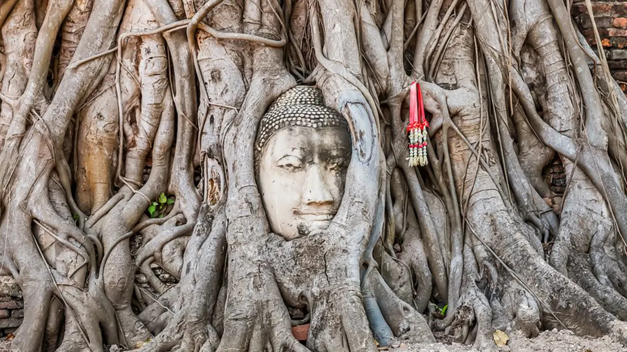 Ayutthaya temples with lunch