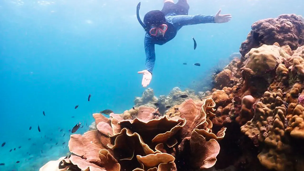 Snorkeling Experience in Bangkok