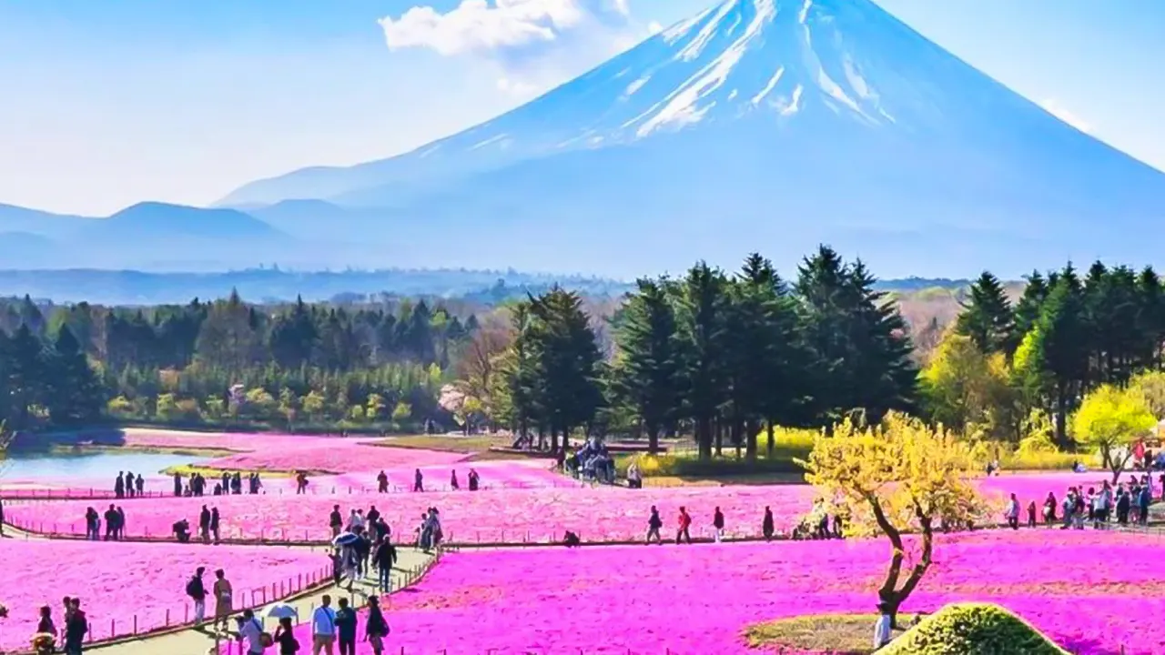 Mt.Fuji Area, Oshino Hakkai & Kawaguchi Lake Day Trip