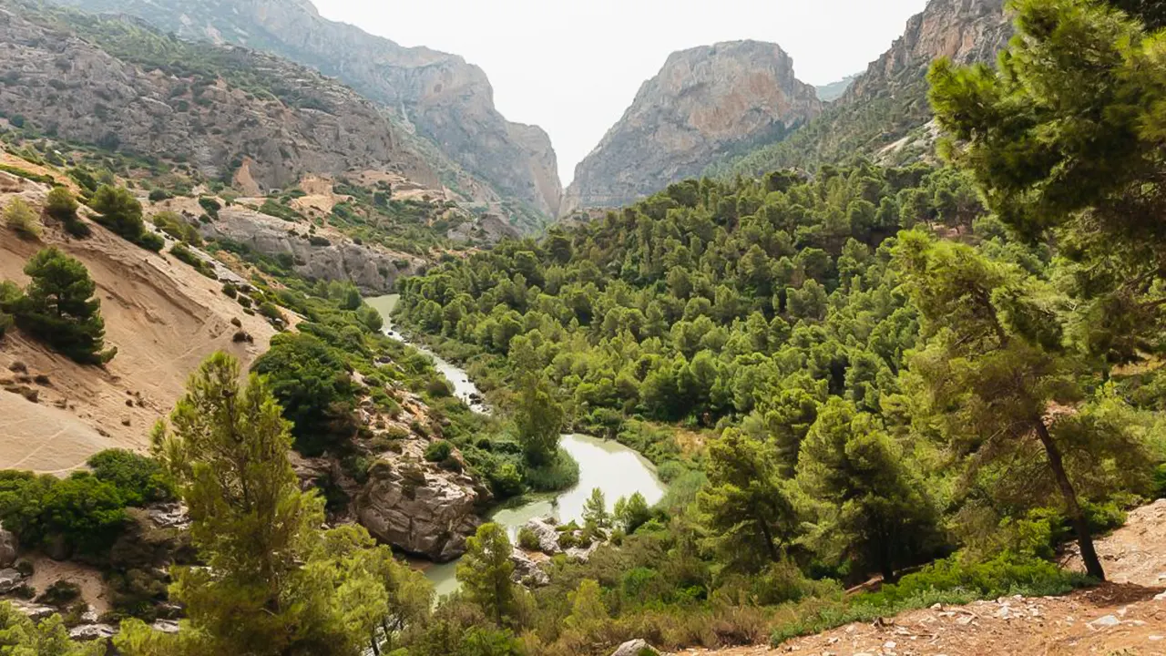 جولة مرشدة إلى كامينيتو ديل ري