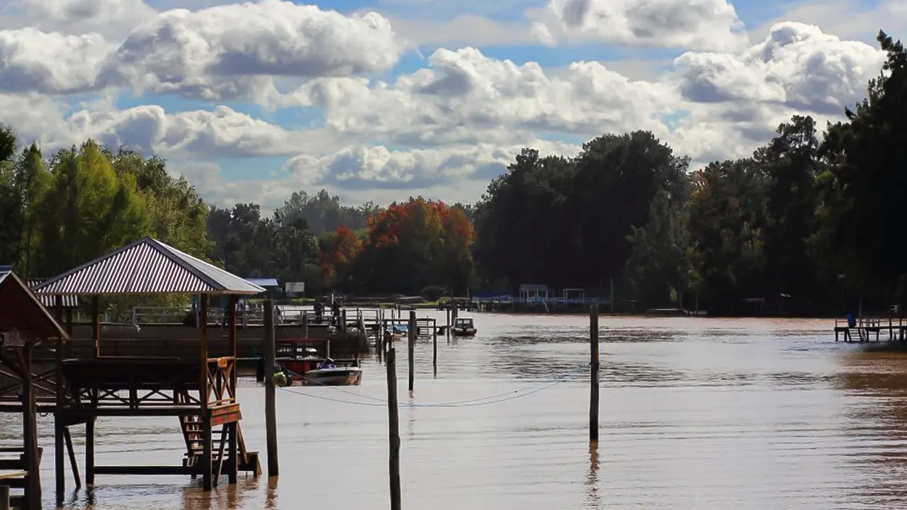 River Delta Panoramic Boat Tour