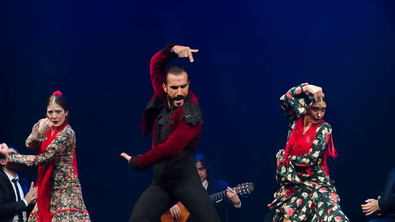 Emociones Live Flamenco Performance