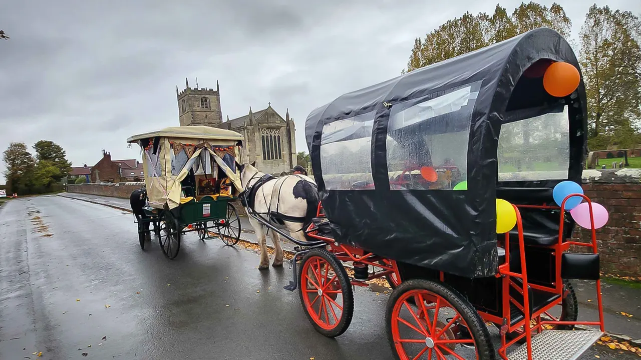 Horse Drawn Carriage ride