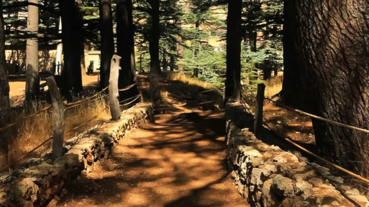 Kadisha Valley, Museum and rice