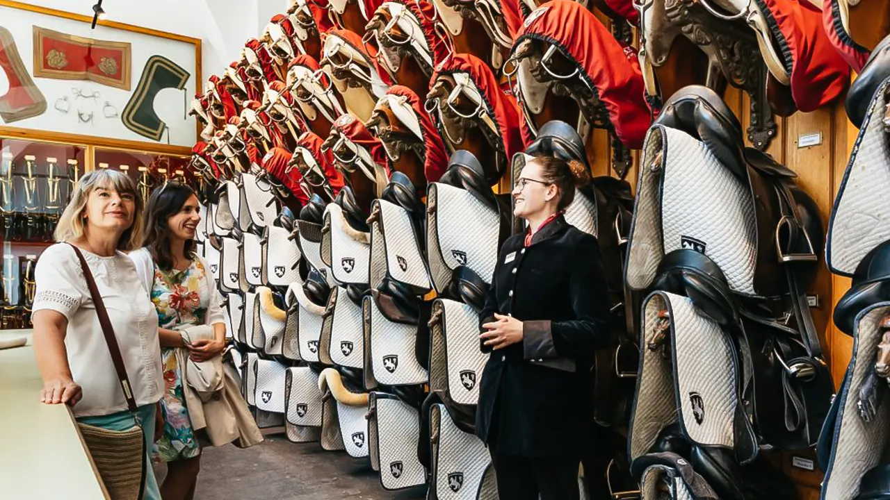 Vienna Spanish Riding School Guided Tour